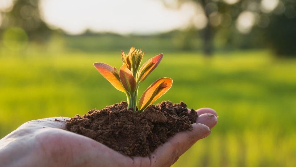 Démarche écologique intégrale