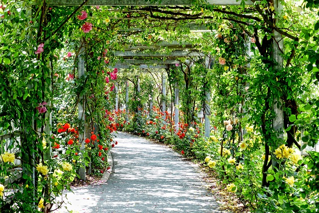 passage