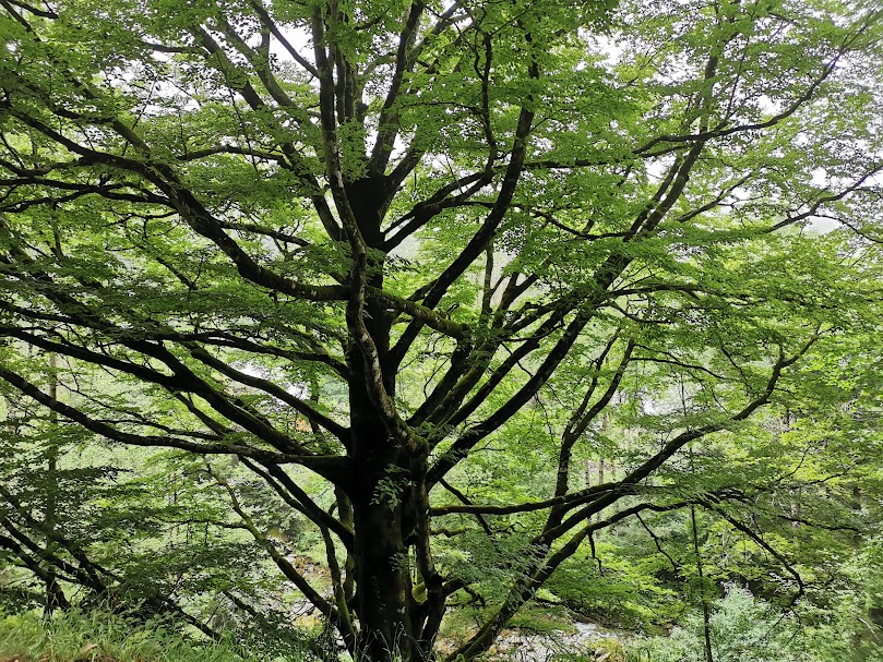 [MAGIS - NOUVEAU] Retraite d'initiation aux Exercices Spirituels Pour les jeunes 20-30 ans