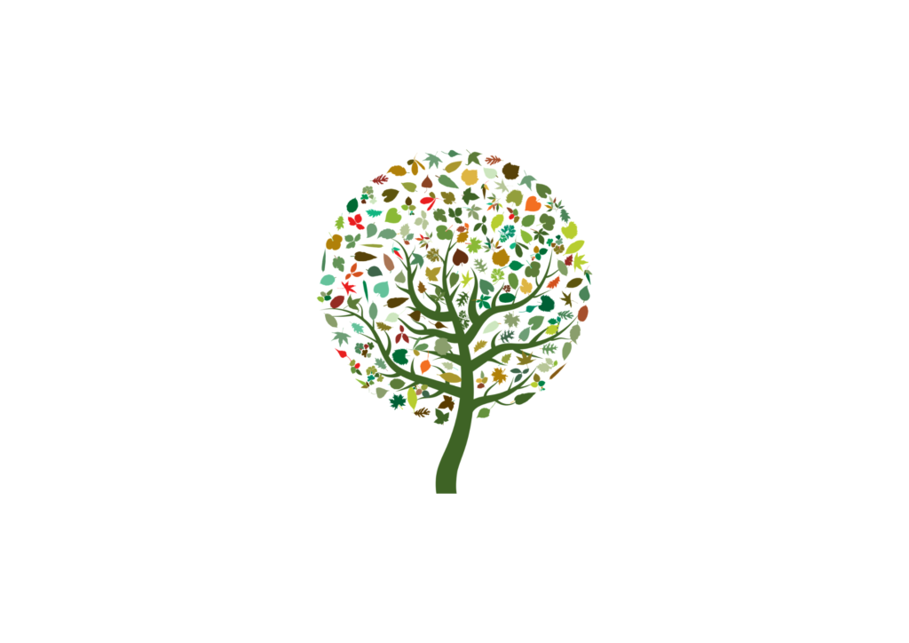 Retraite écologie et Parole de Dieu 1