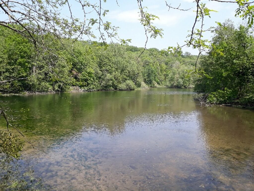 Journée de marche et de prière 1