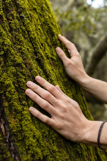 Nature et vie spirituelle