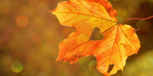 Prière d'automne