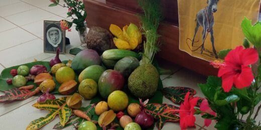 Ecologie intégrale et spiritualité
