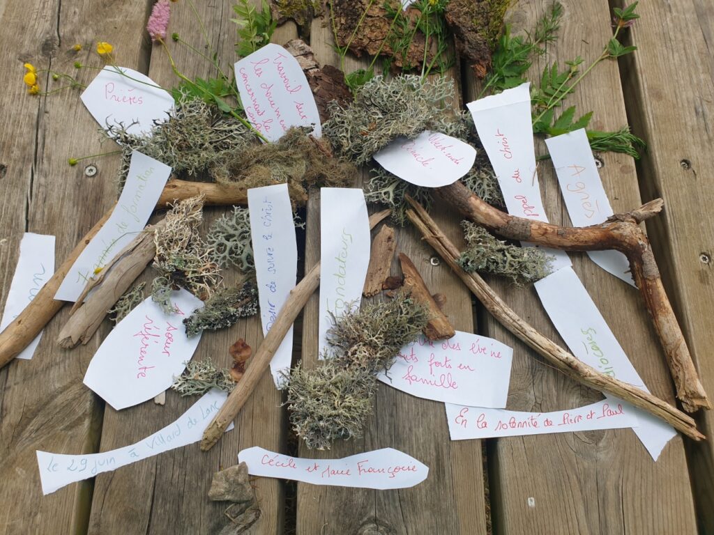 Notre arbre de vie de célibataires consacrées&nbsp; 2