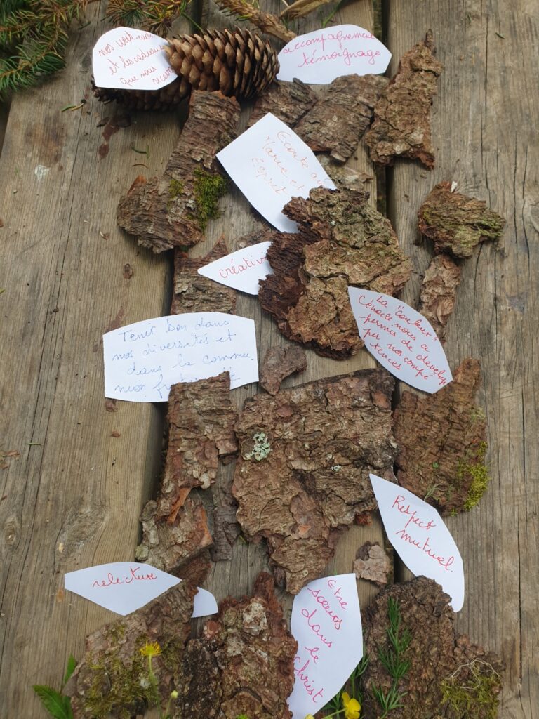 Notre arbre de vie de célibataires consacrées  1