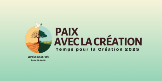 Temps pour la Création - Bannière