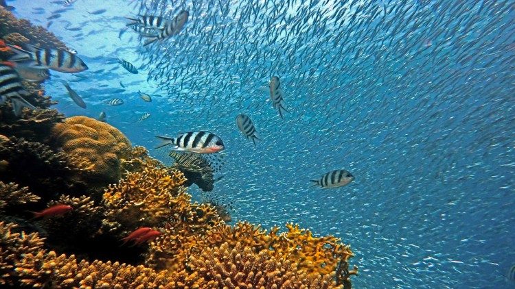 Clima albiente parigi