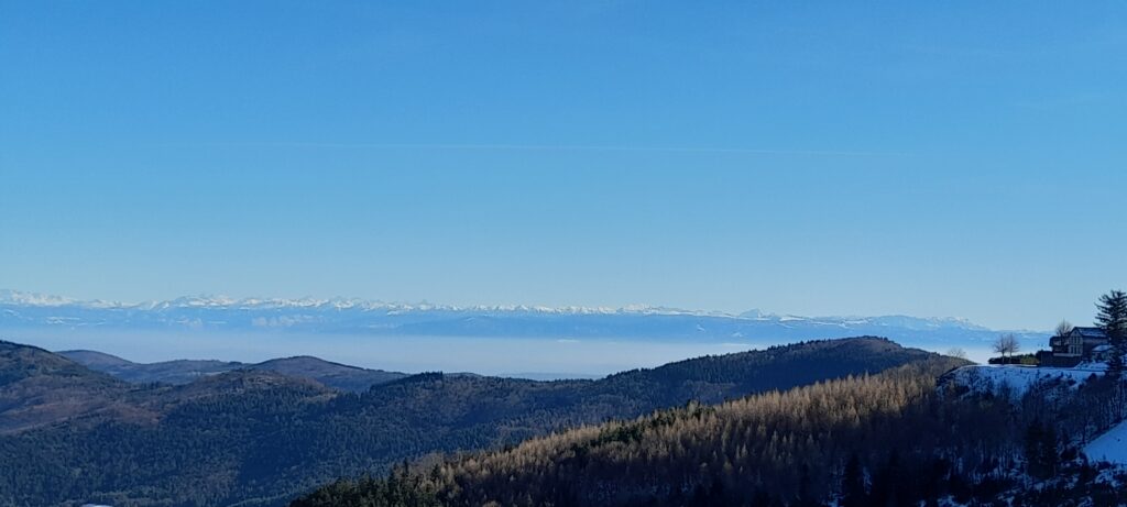 Buon Natale e felice anno nuovo ! 3