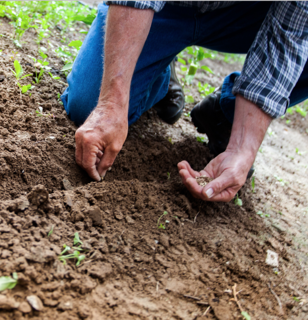 La parola umana e la Parola di Dio 2