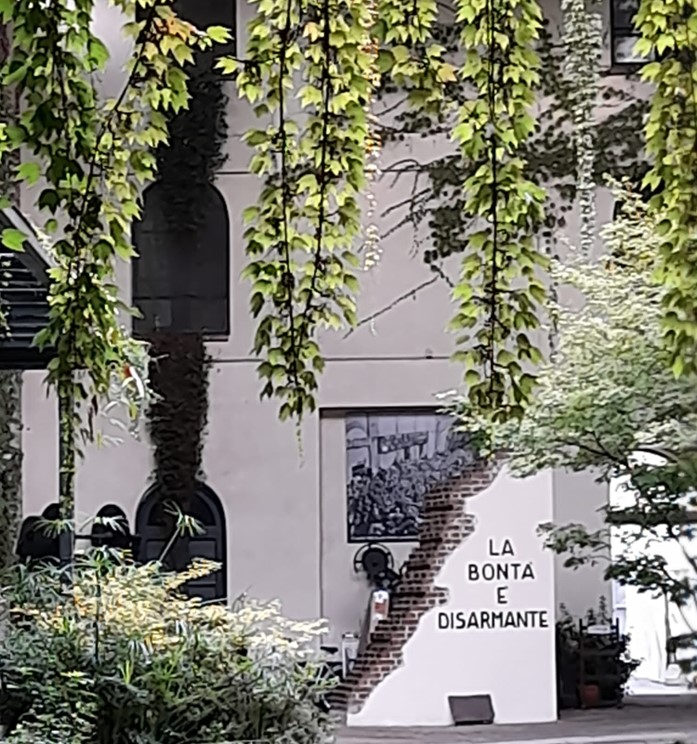 Notizie dalle giovani professe 1