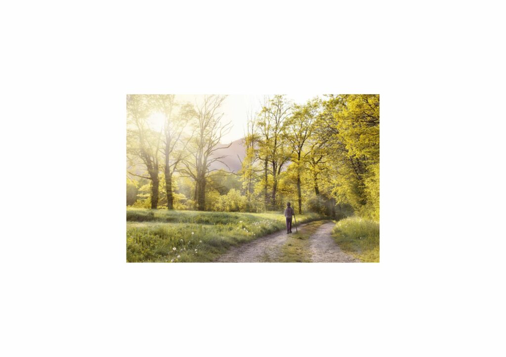 Mattinate di spiritualità Il tuo cuore come sta? Cerca qualcosa?