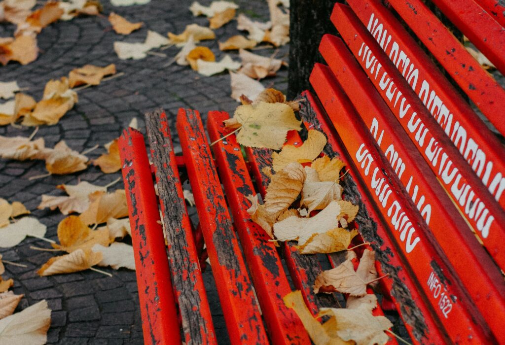 Giornata internazionale contro la violenza sulle donne