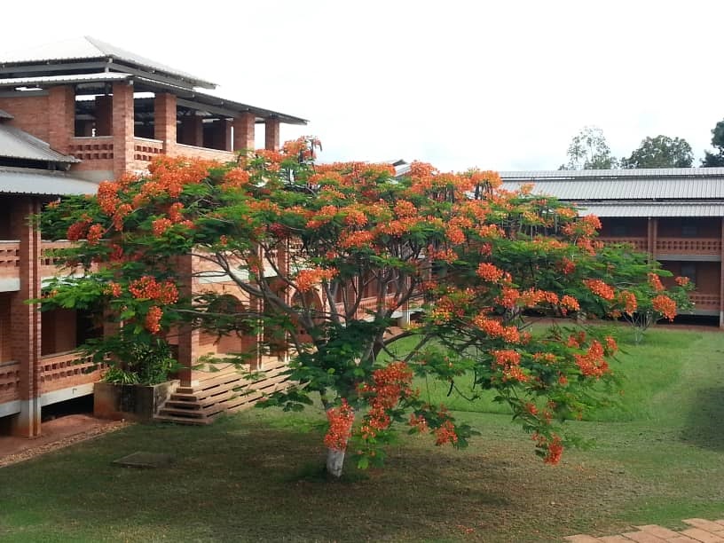 A la découverte du Cénacle (session femmes) 1