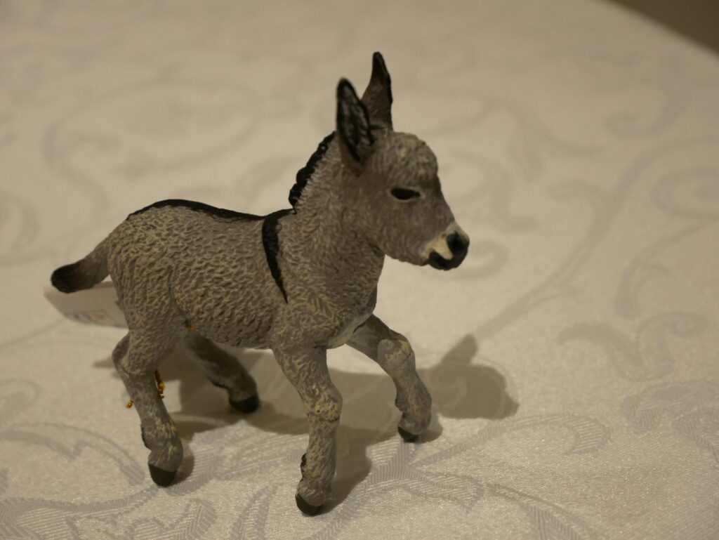 Installation de sœur Kate 2