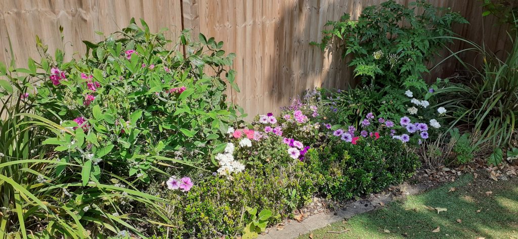 Place of community life 1