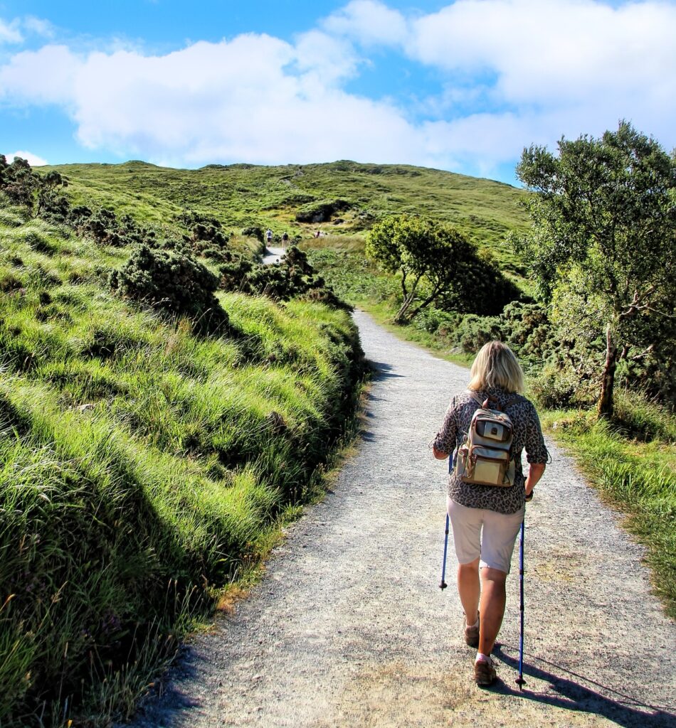 St Patrick's Feastday, March 17th 3