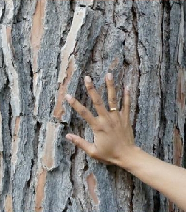 At the heart of The Chapter 2