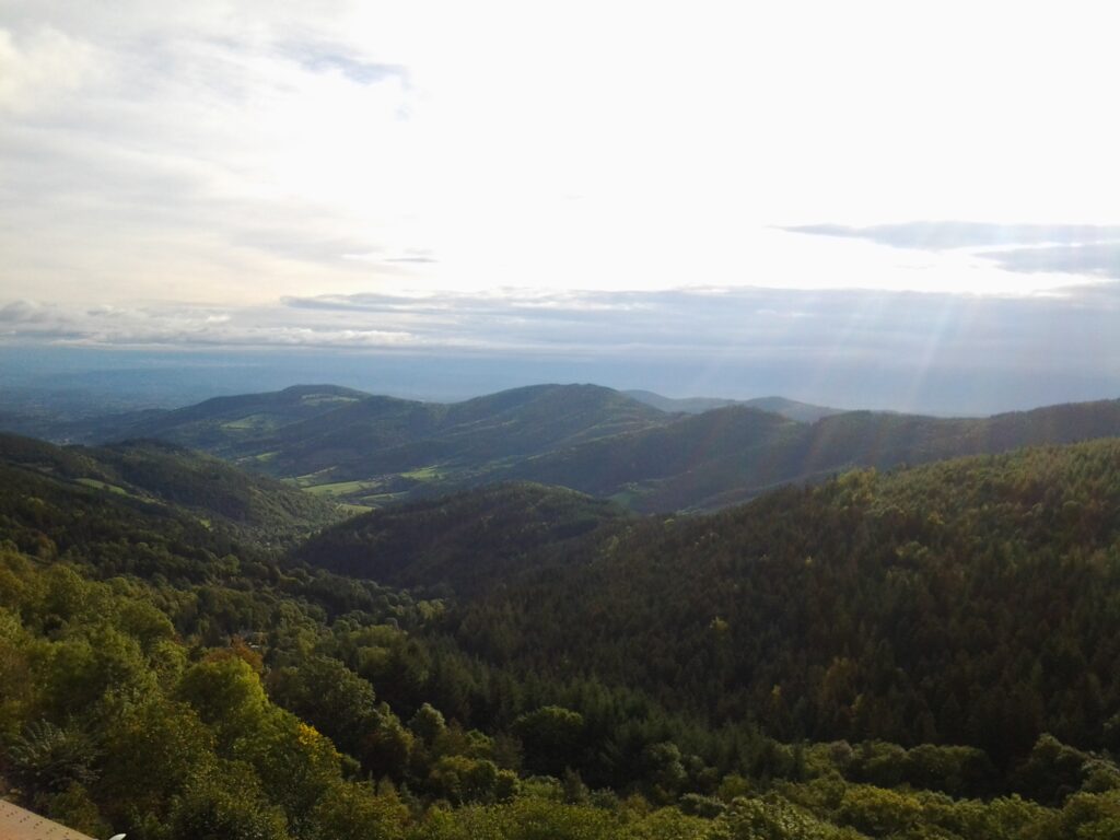 Merry Christmas and Happy New Year ! 5