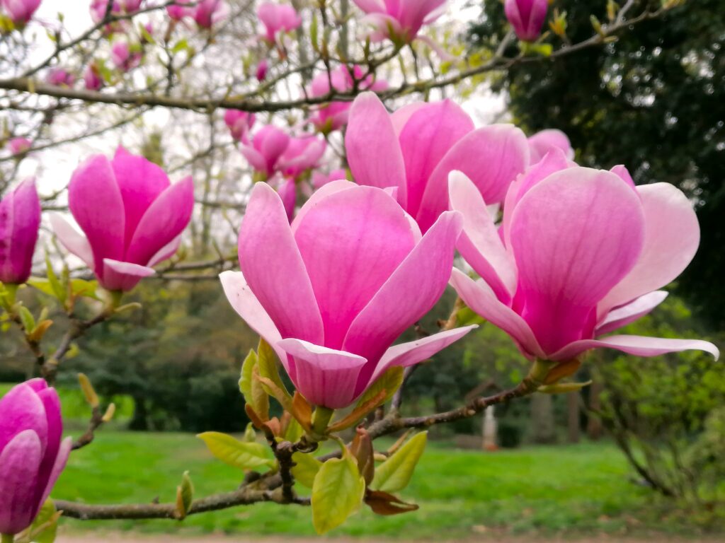 "Grow old gracefully!" 1