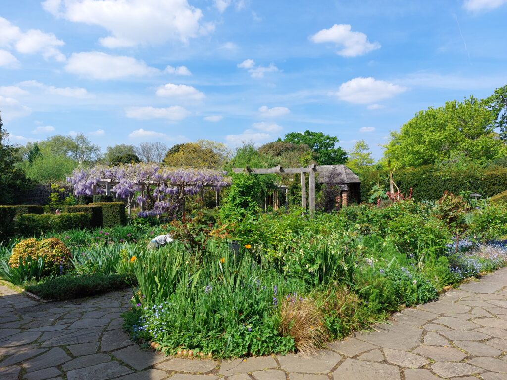 World Environment Day 2025 3